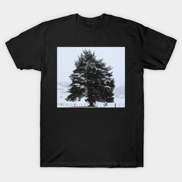 Winter scene T-Shirt by dags